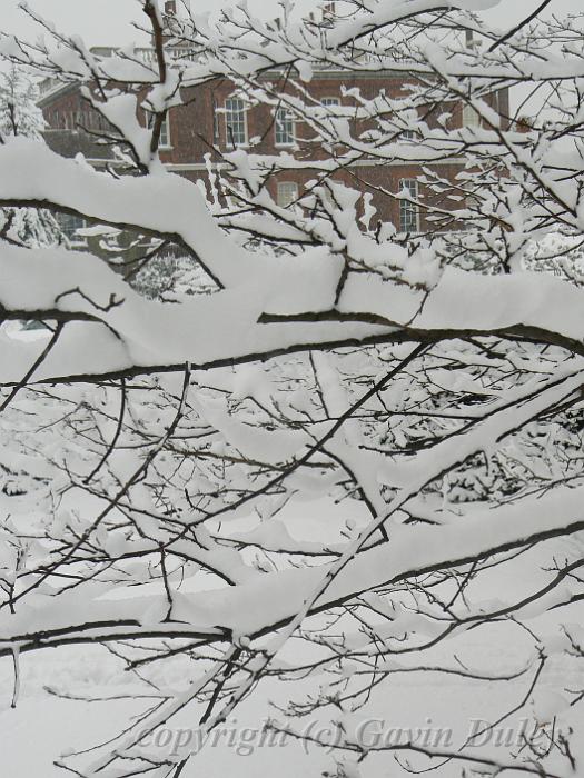 Snow, Greenwich Park P1070196.JPG